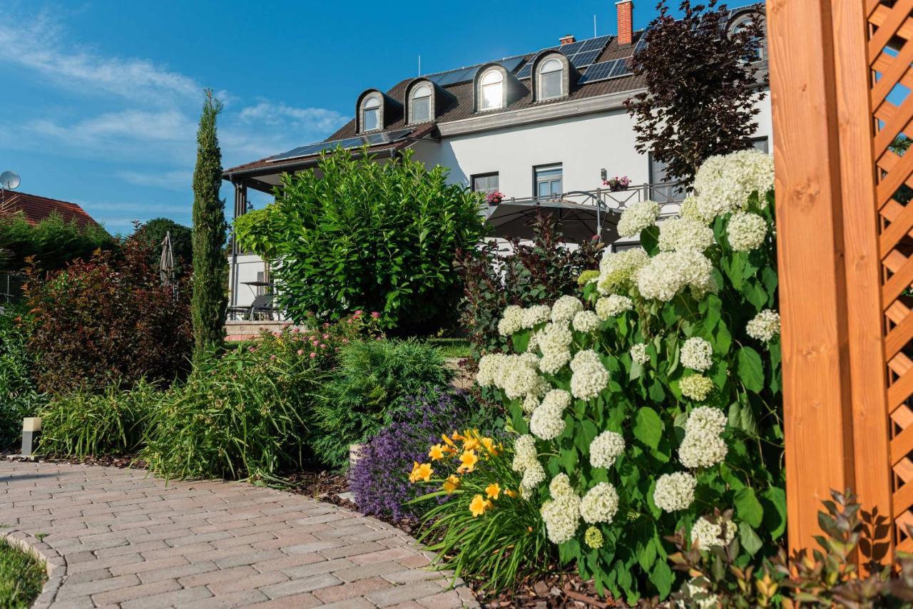 Katzer Villa Badacsonytordemic Bagian luar foto
